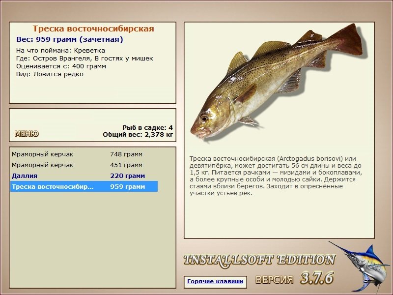 турниры • РУССКАЯ РЫБАЛКА