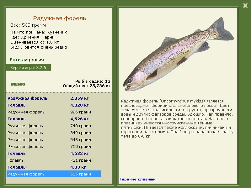 Гарни 
