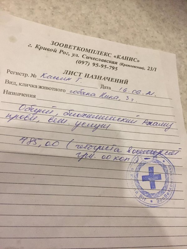 Финансовый отчет Ники 