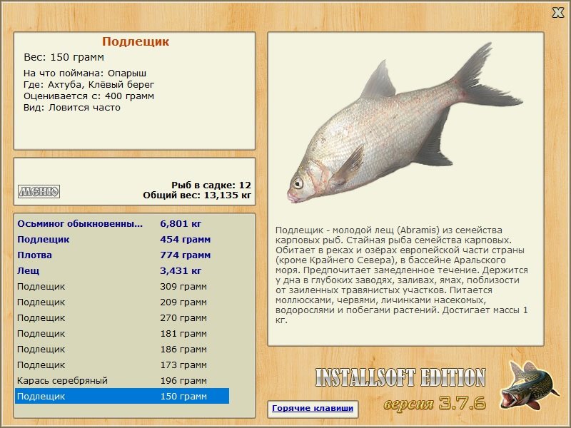 Клёвый берег 