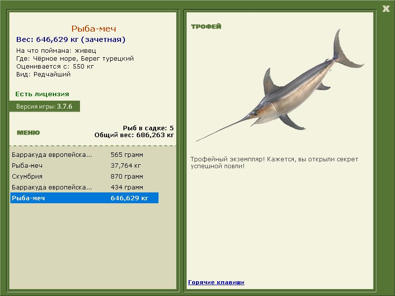 Берег турецкий 