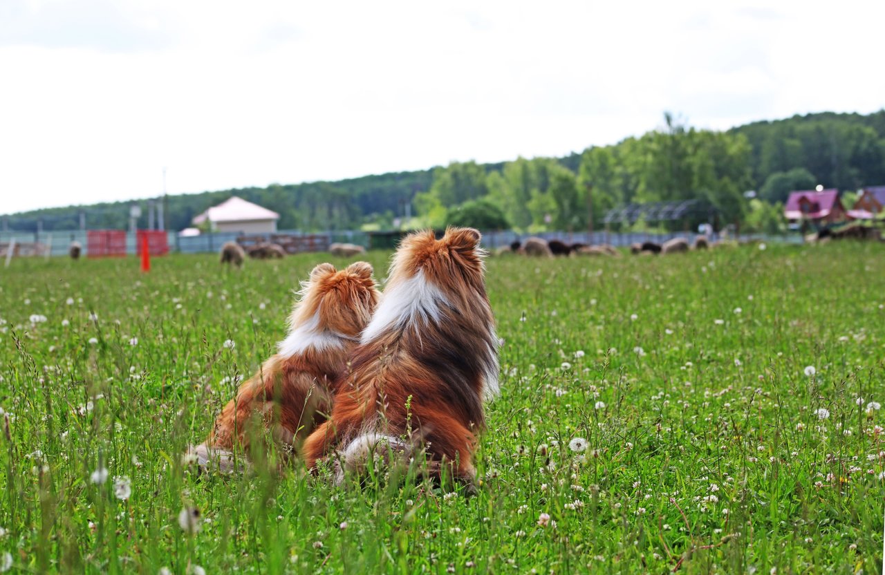 Профилактика болезней