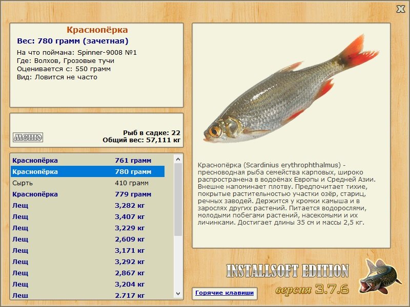 Грозовые тучи 