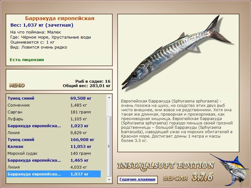 турниры • РУССКАЯ РЫБАЛКА
