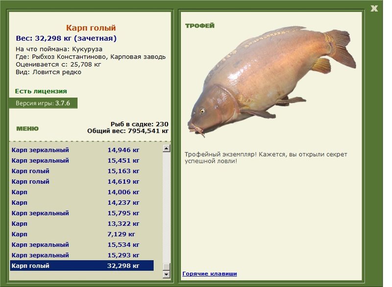 Карп голый 