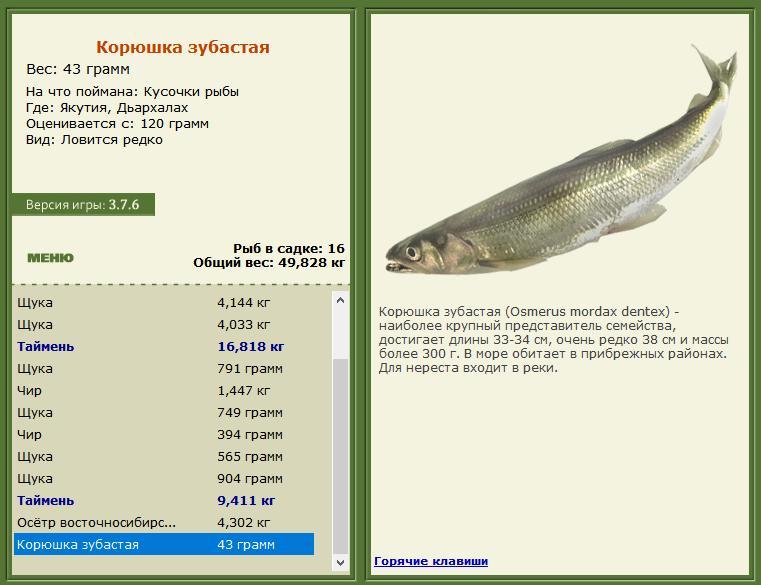 РУССКАЯ РЫБАЛКА Installsoft Edition 
