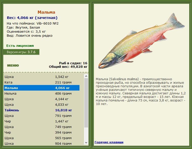 РУССКАЯ РЫБАЛКА Installsoft Edition 