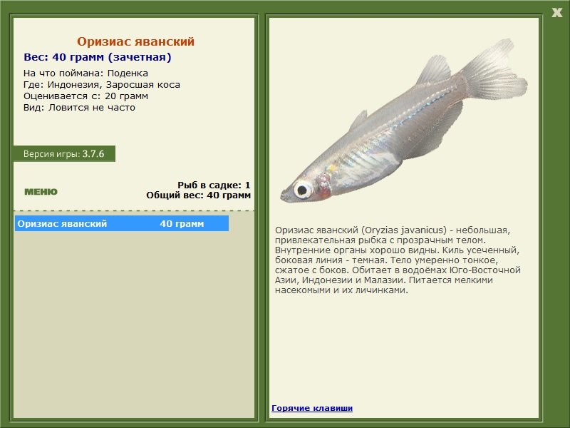 Заросшая коса 
