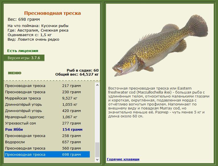 Снежная река 