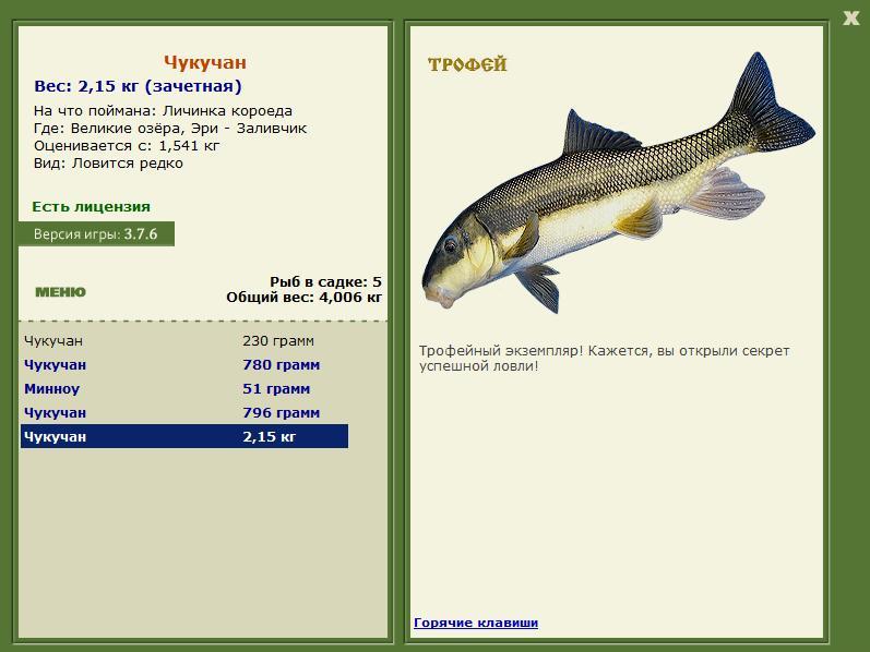 Чукучан 