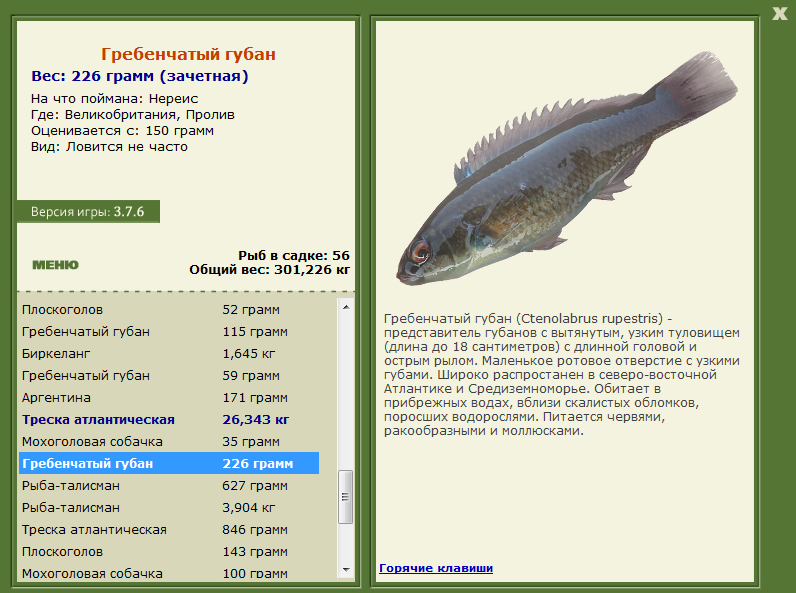 Пролив 