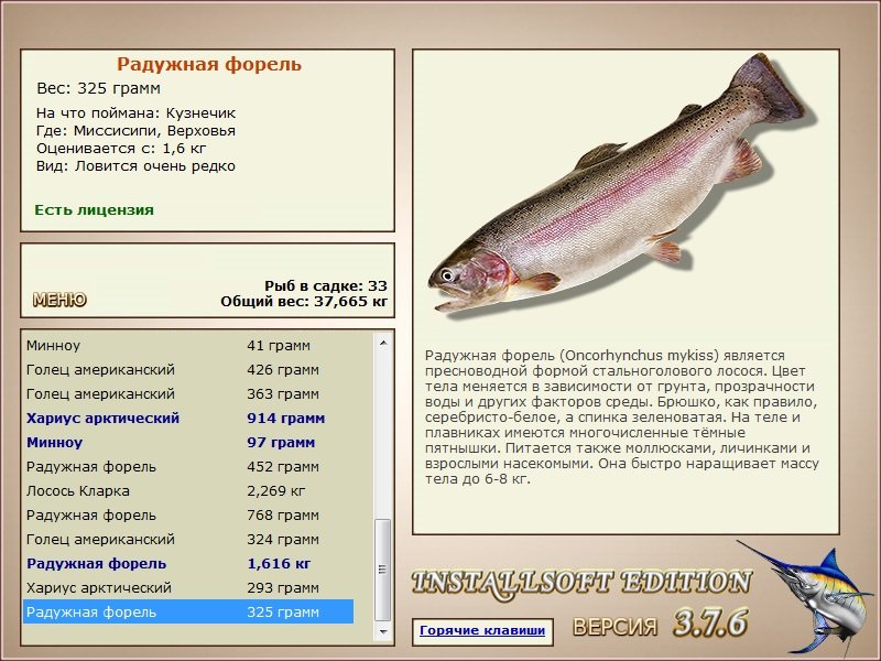 Верховья 