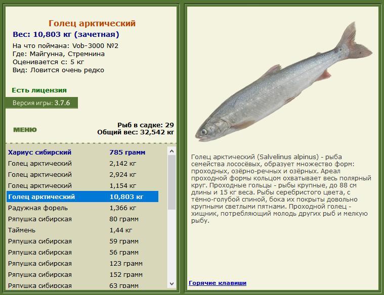 Стремнина 