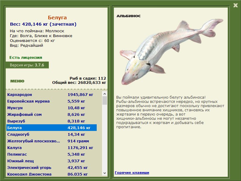 Белуга 