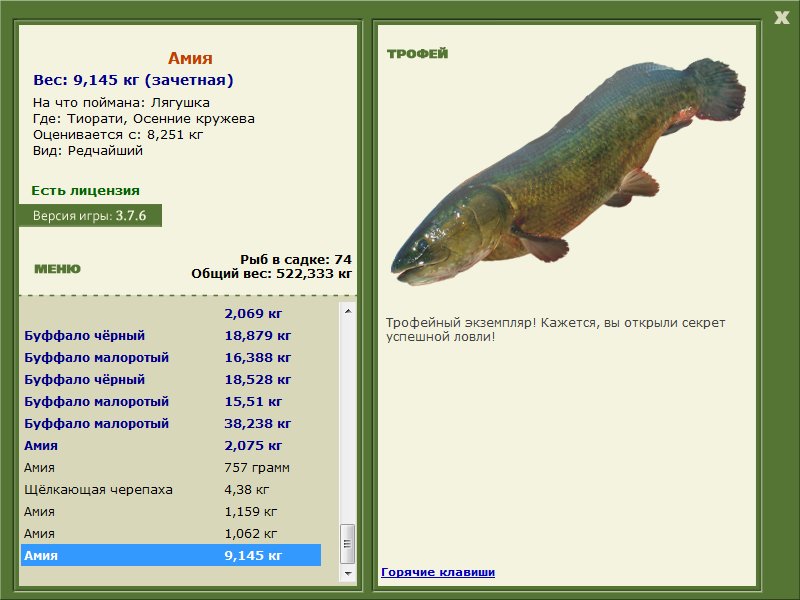 Амия 