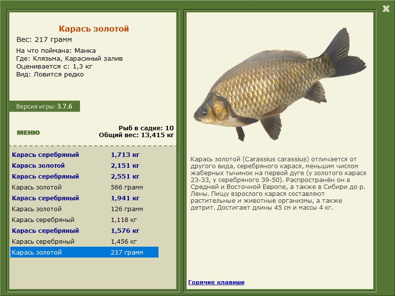 Карасиный залив 