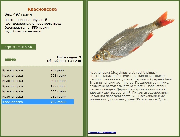 Брод 