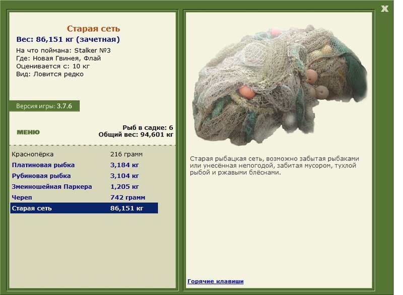Старая сеть 