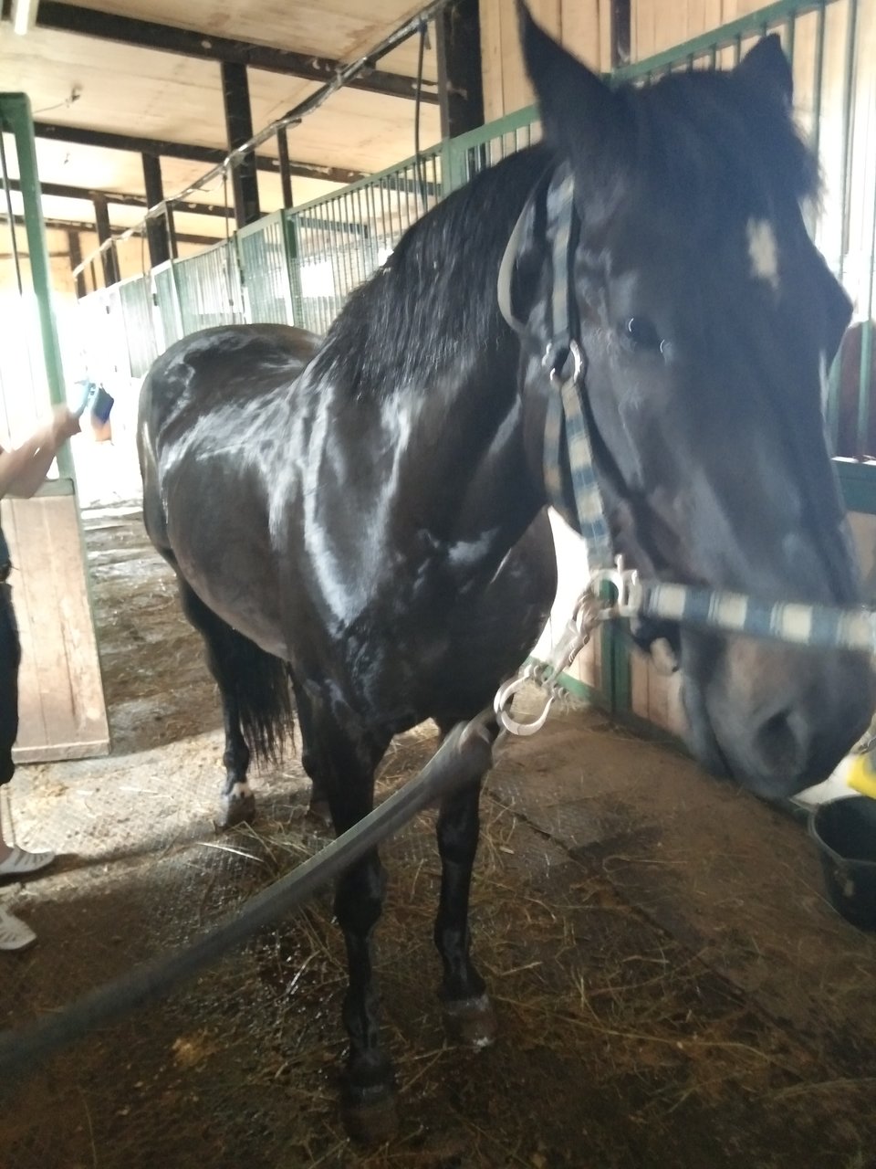  Стойки под полочники