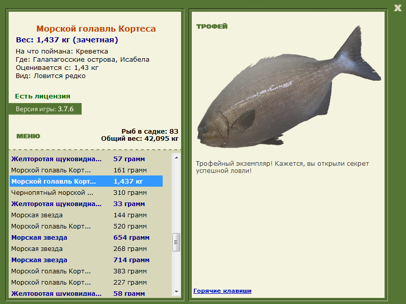 Морской голавль Кортеса 