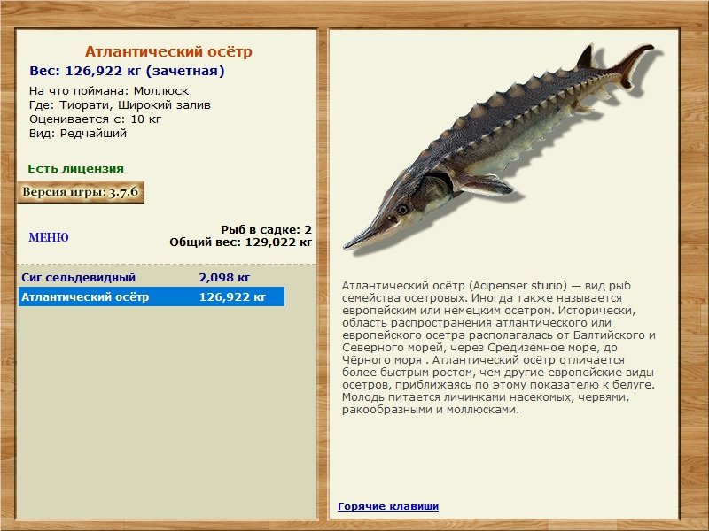 РУССКАЯ РЫБАЛКА Installsoft Edition 