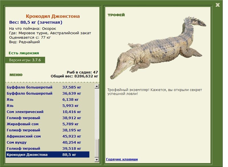 Крокодил Джонстона 