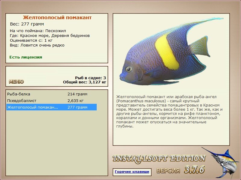 Деревня бедуинов 