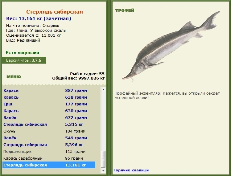 У высокой скалы 
