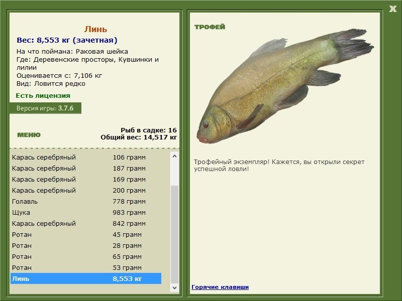 Кувшинки и лилии 
