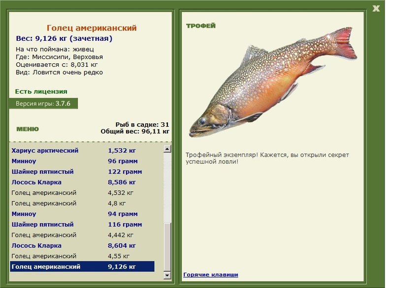 Голец американский 