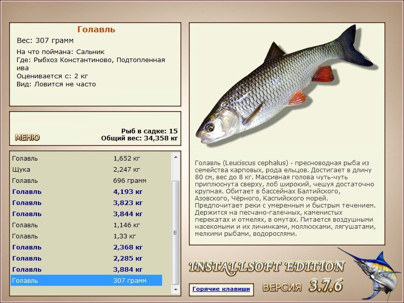 Подтопленная ива 