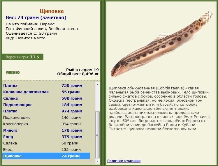 Зелёная стена 