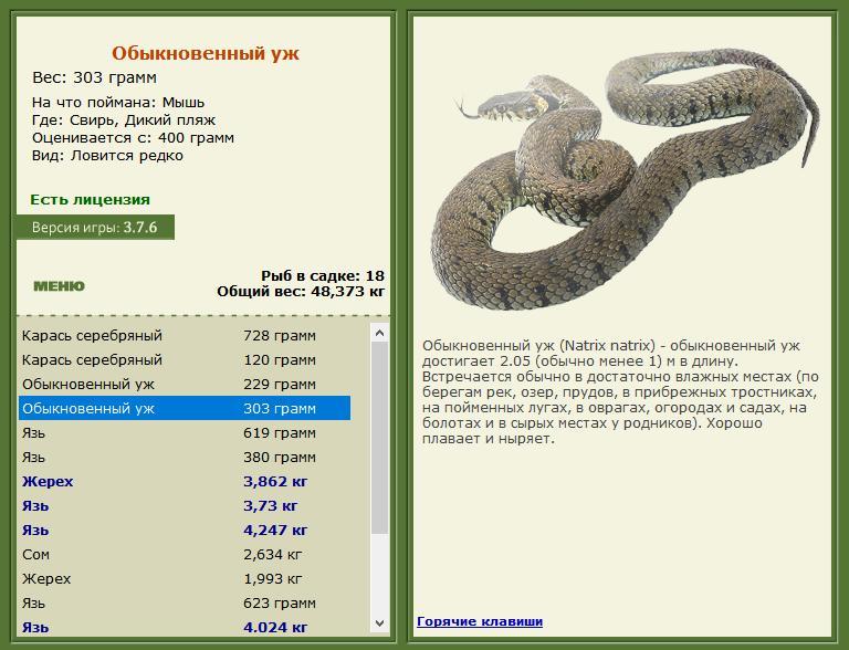 Дикий пляж 