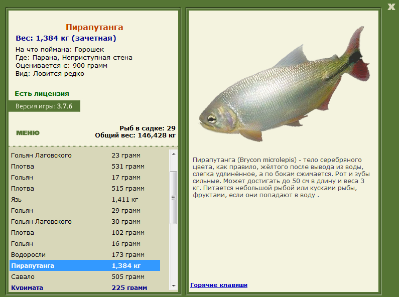 Неприступная стена 