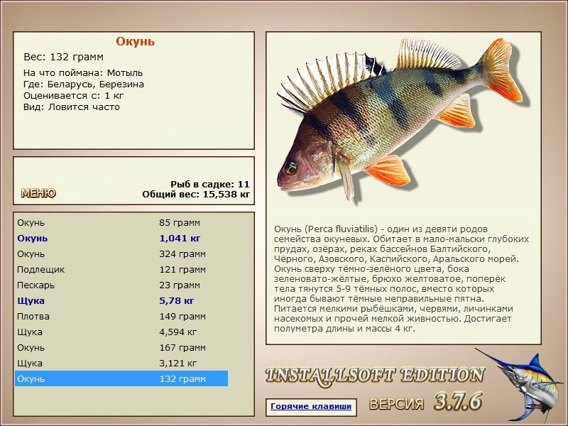 Березина 