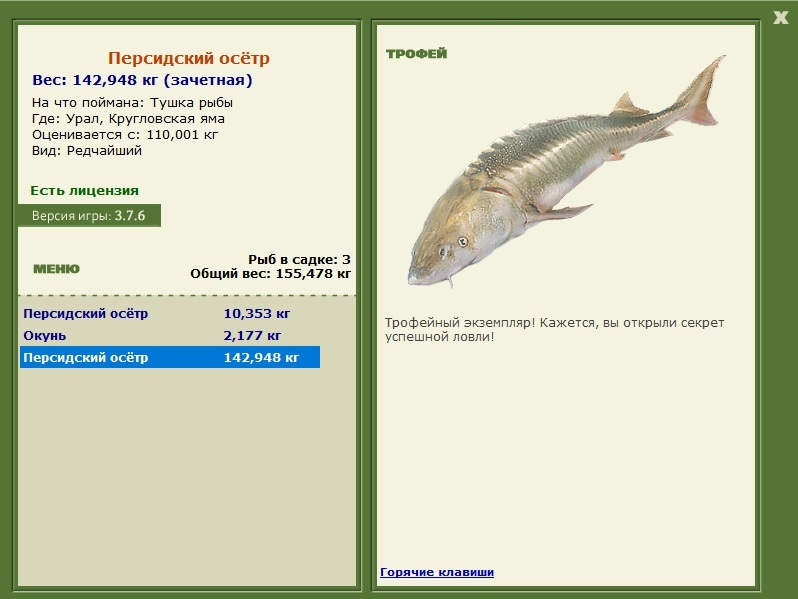 Персидский осётр 