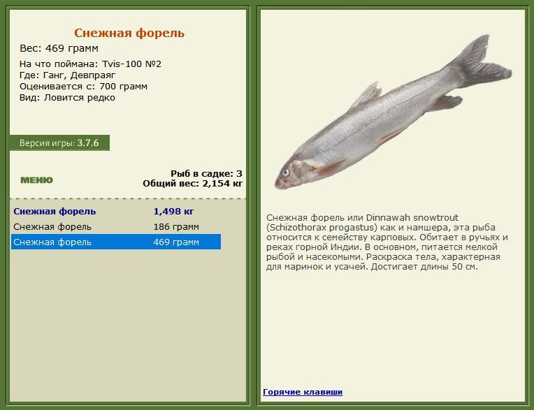 Девпраяг 