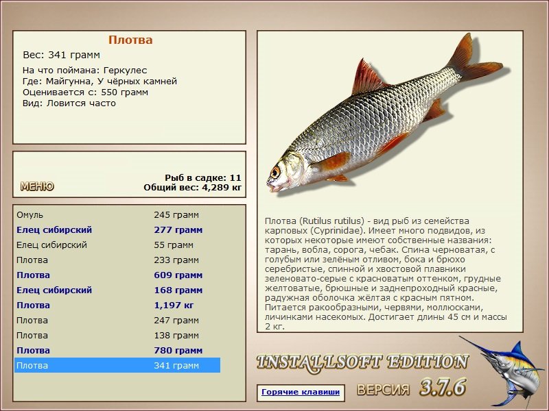 У чёрных камней 
