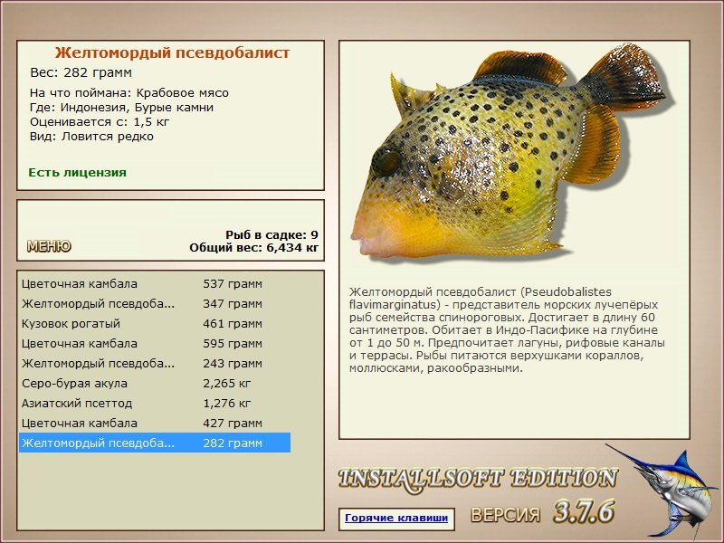 Бурые камни 