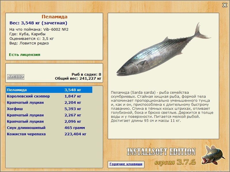 Карибы 