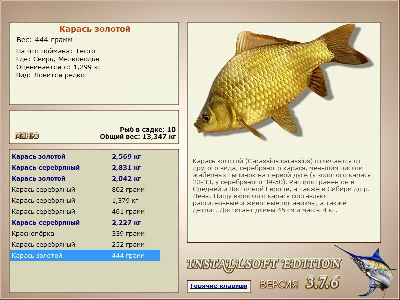 турниры • РУССКАЯ РЫБАЛКА