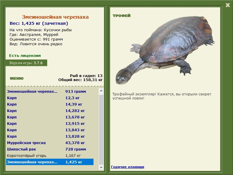 Змеиношейная черепаха 
