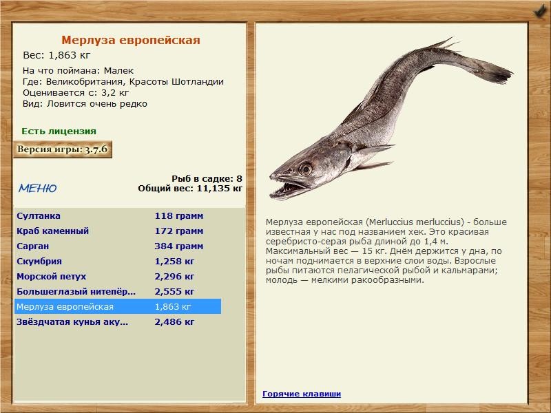 Красоты Шотландии 
