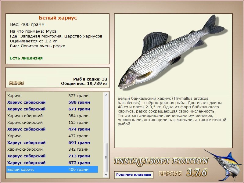 Царство хариусов 