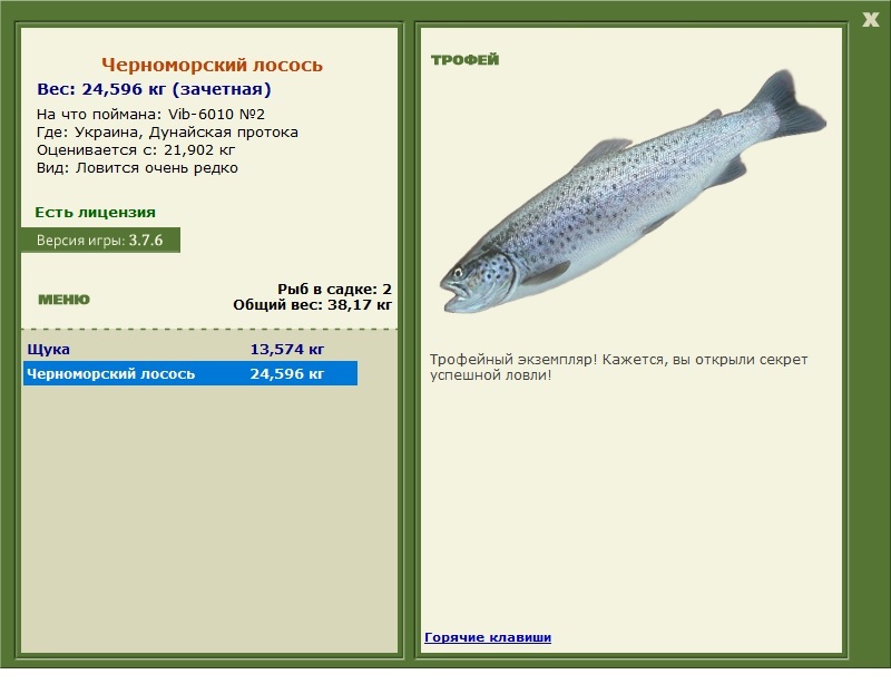Черноморский лосось 