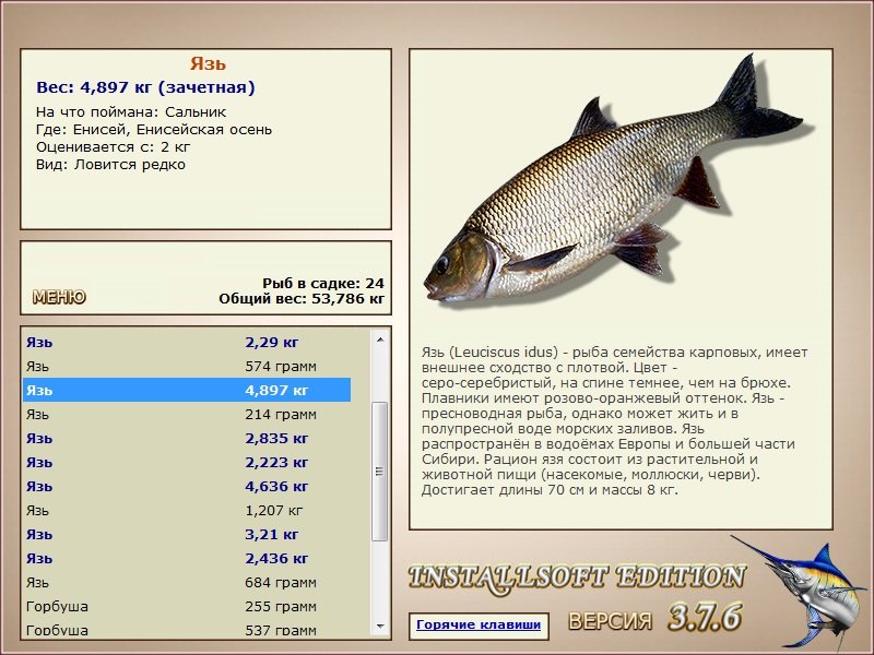 Енисейская осень 