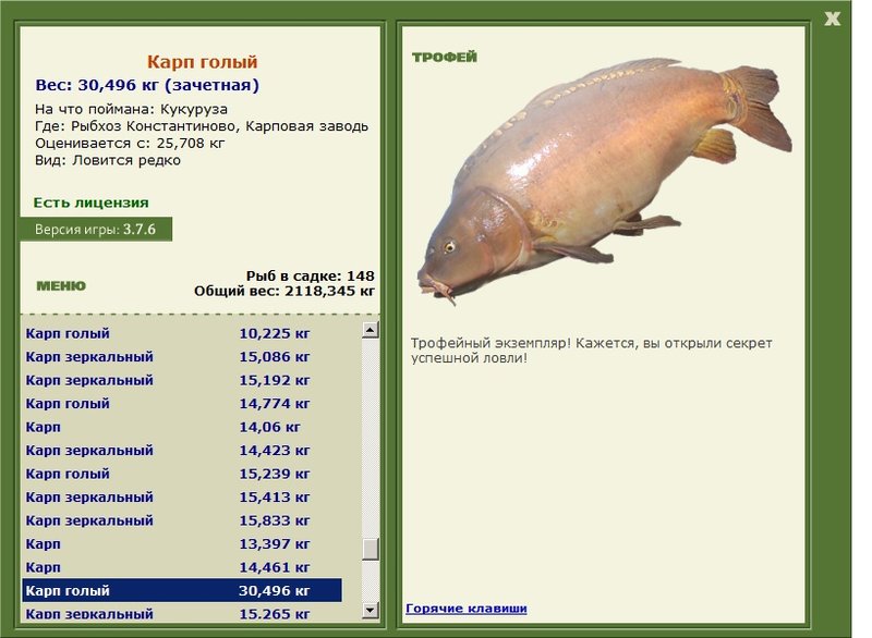 Карп голый 