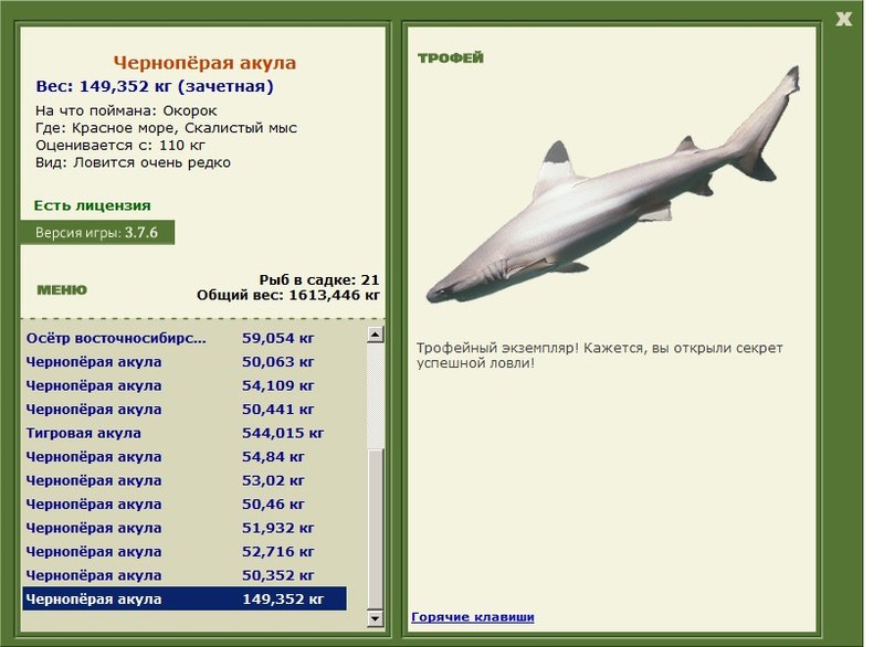 Чернопёрая акула 