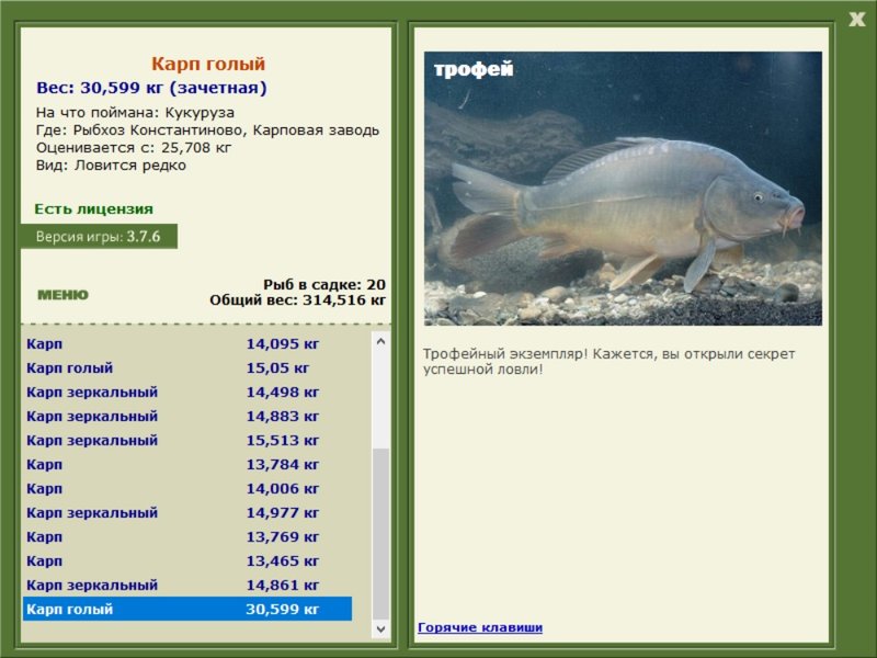 Карп голый 