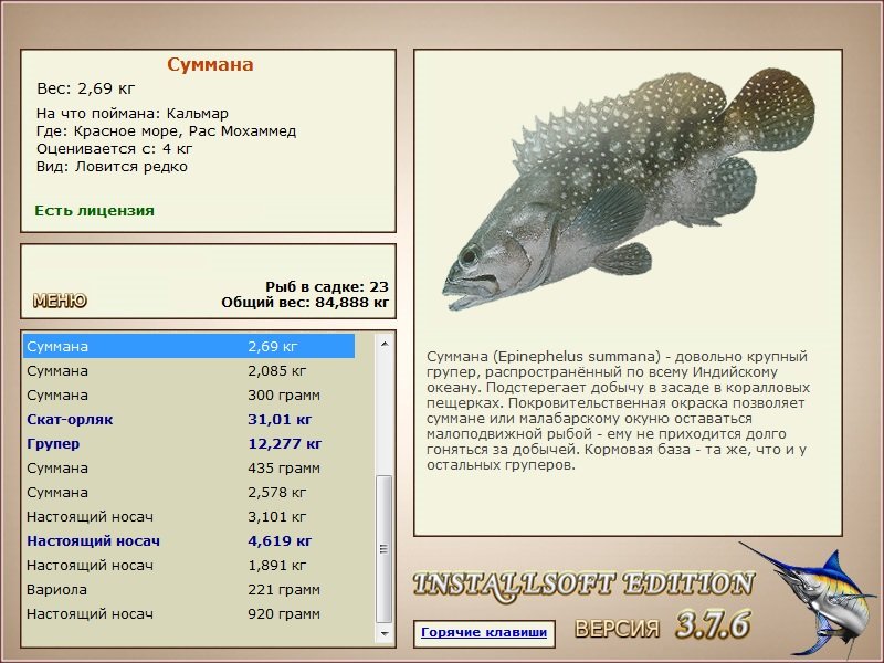 Рас Мохаммед 